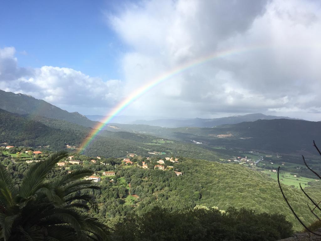 Hotel Des Roches Sartène Dış mekan fotoğraf